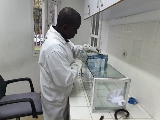 Plateforme GLP d’évaluation des insecticides et des outils d…